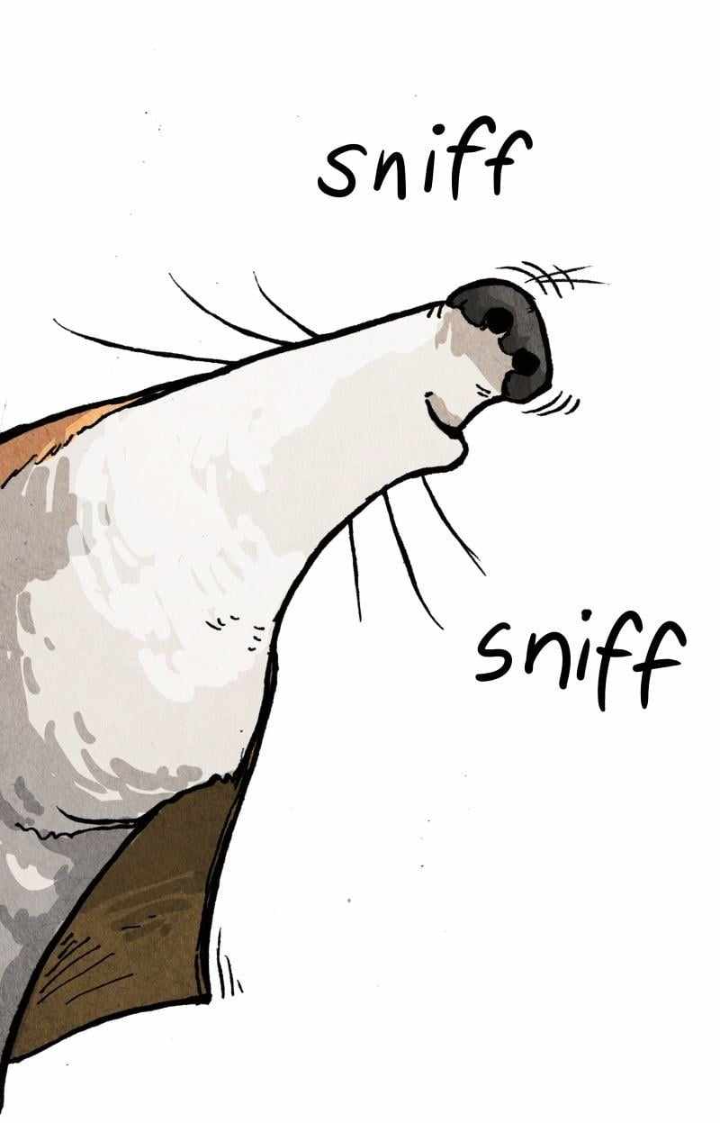 61