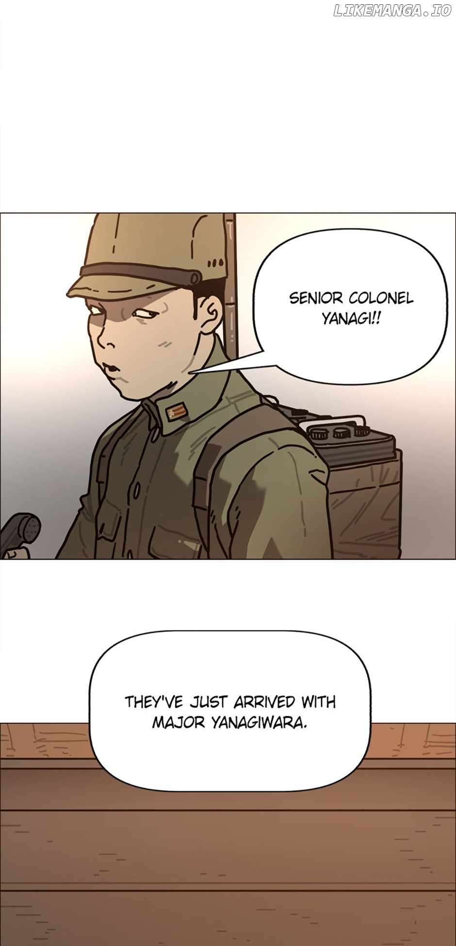 41