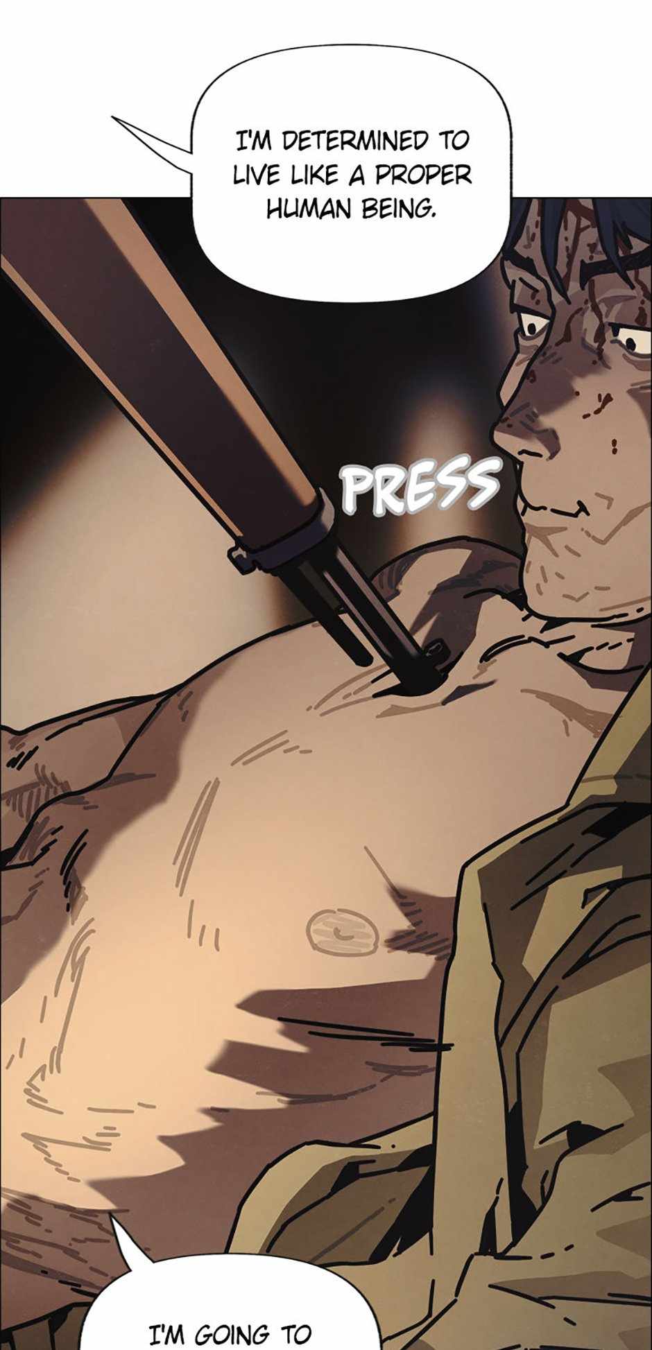 43