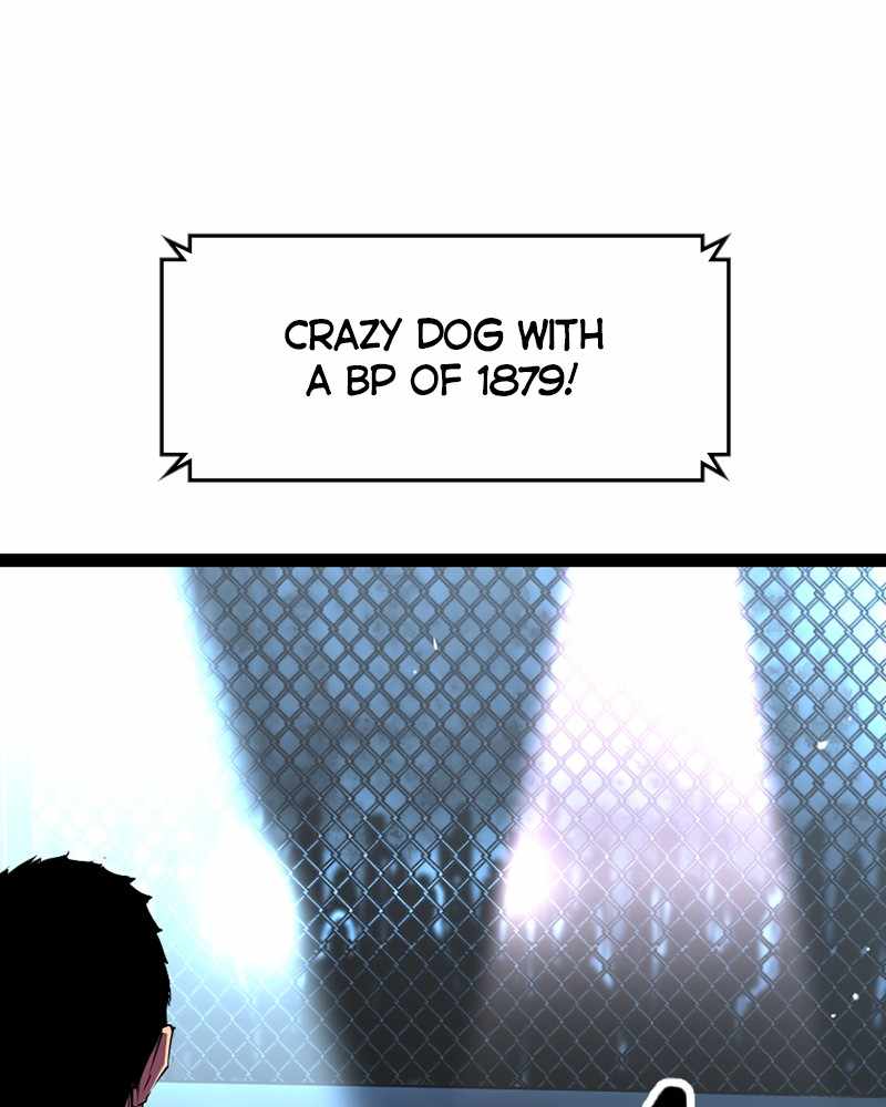 141