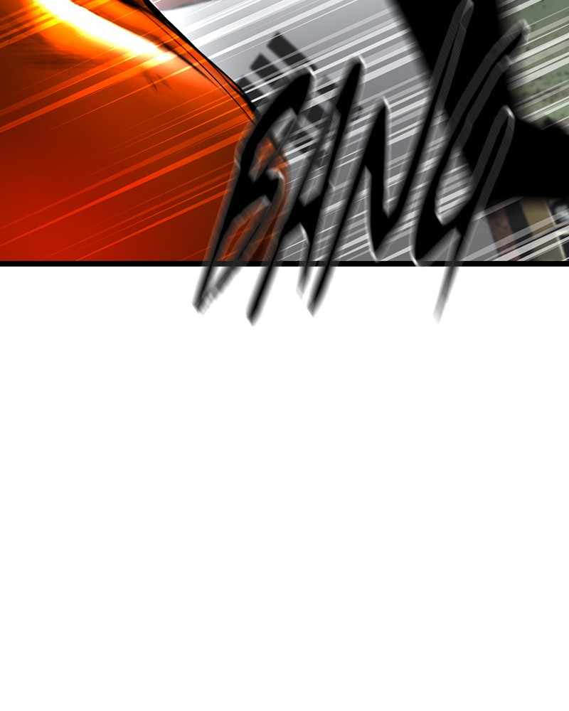 81