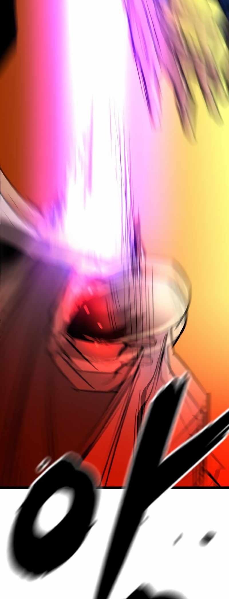 81