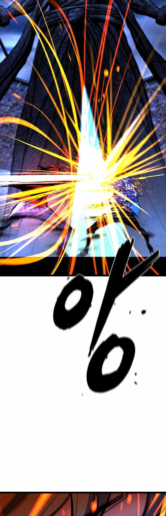 81