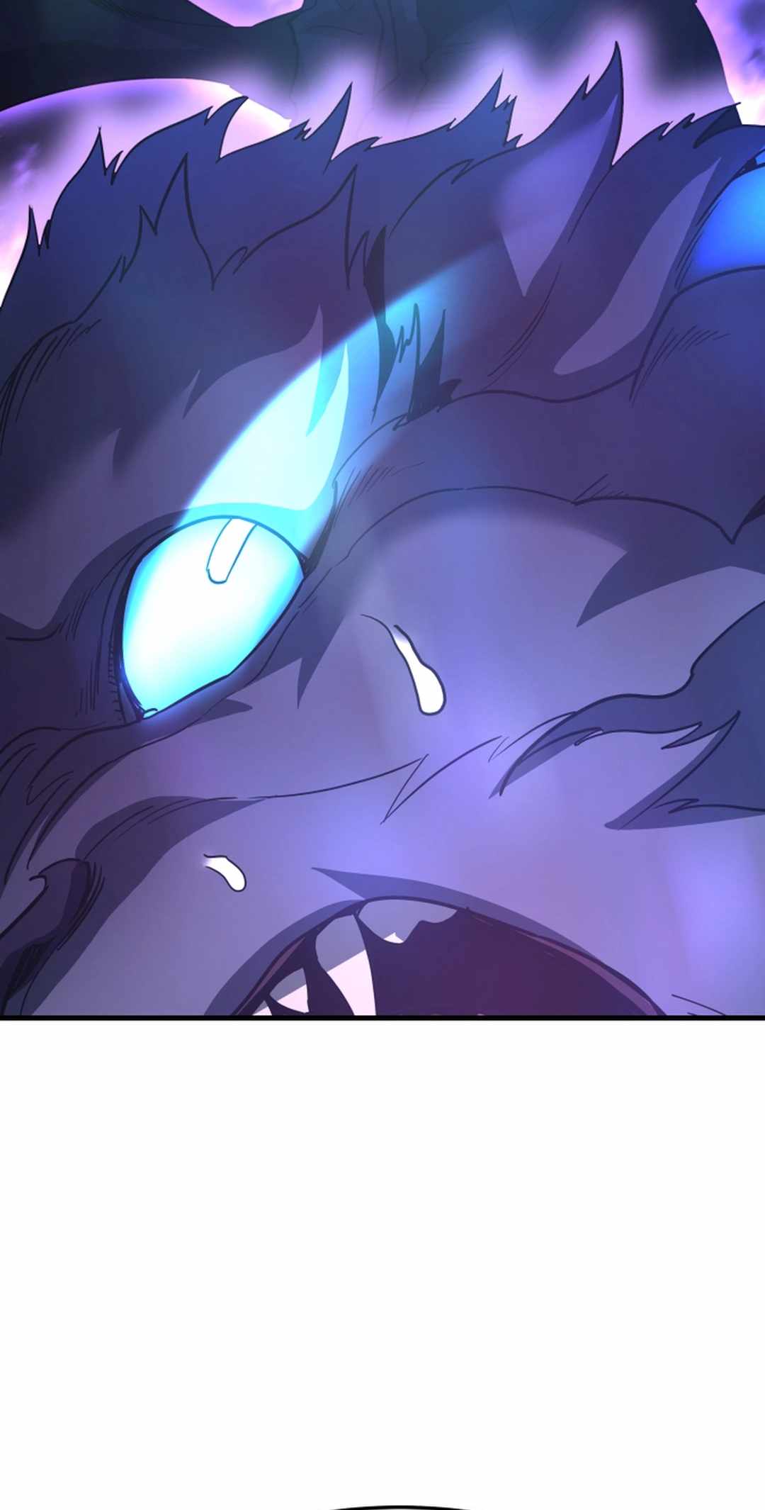 81