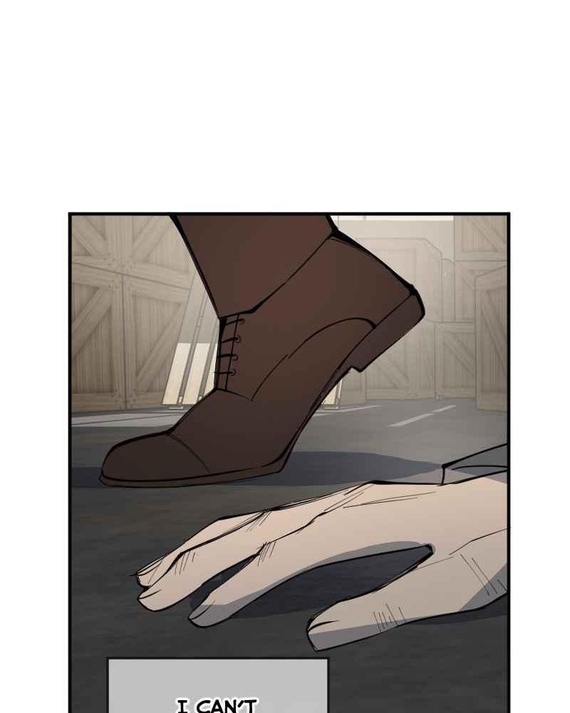 81