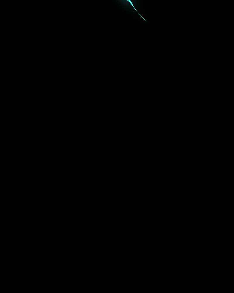101