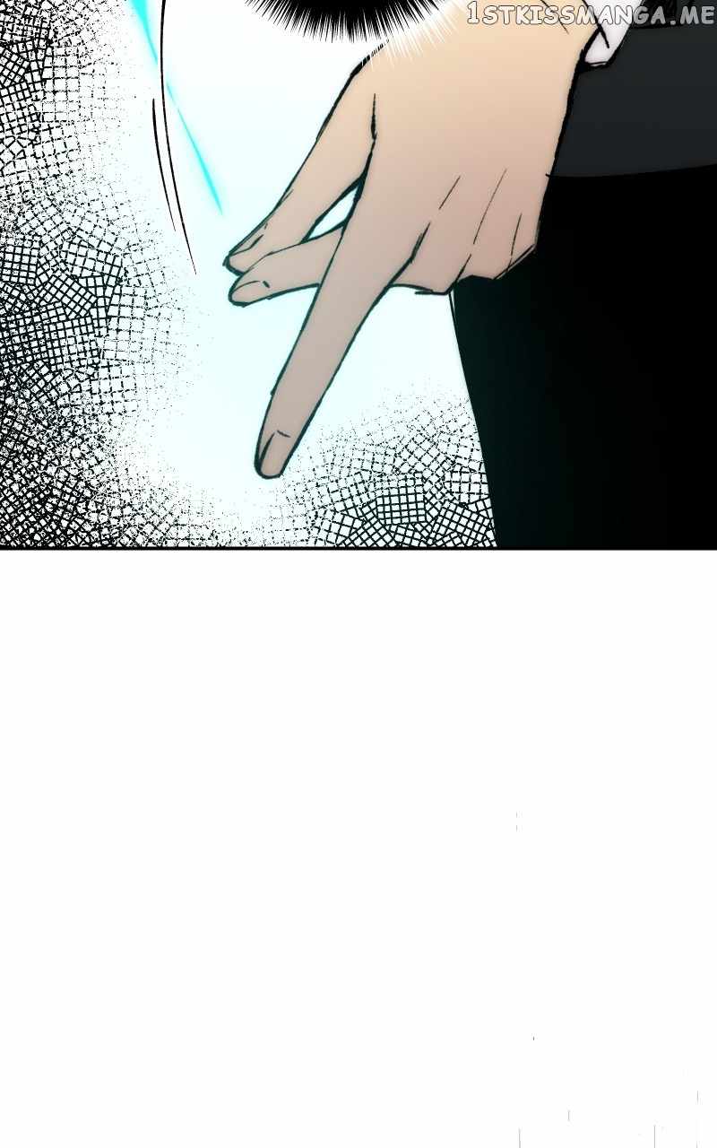 81