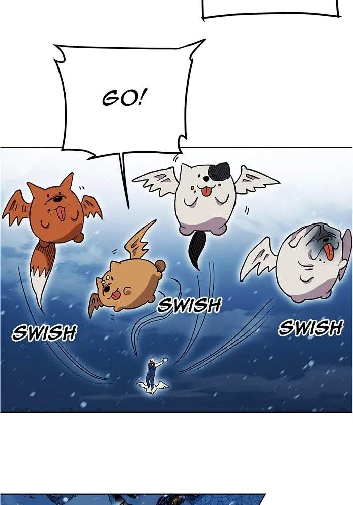66
