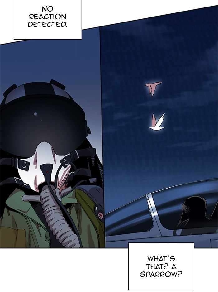 81