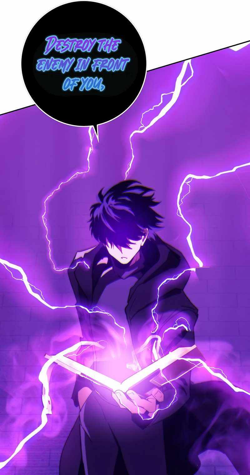 81