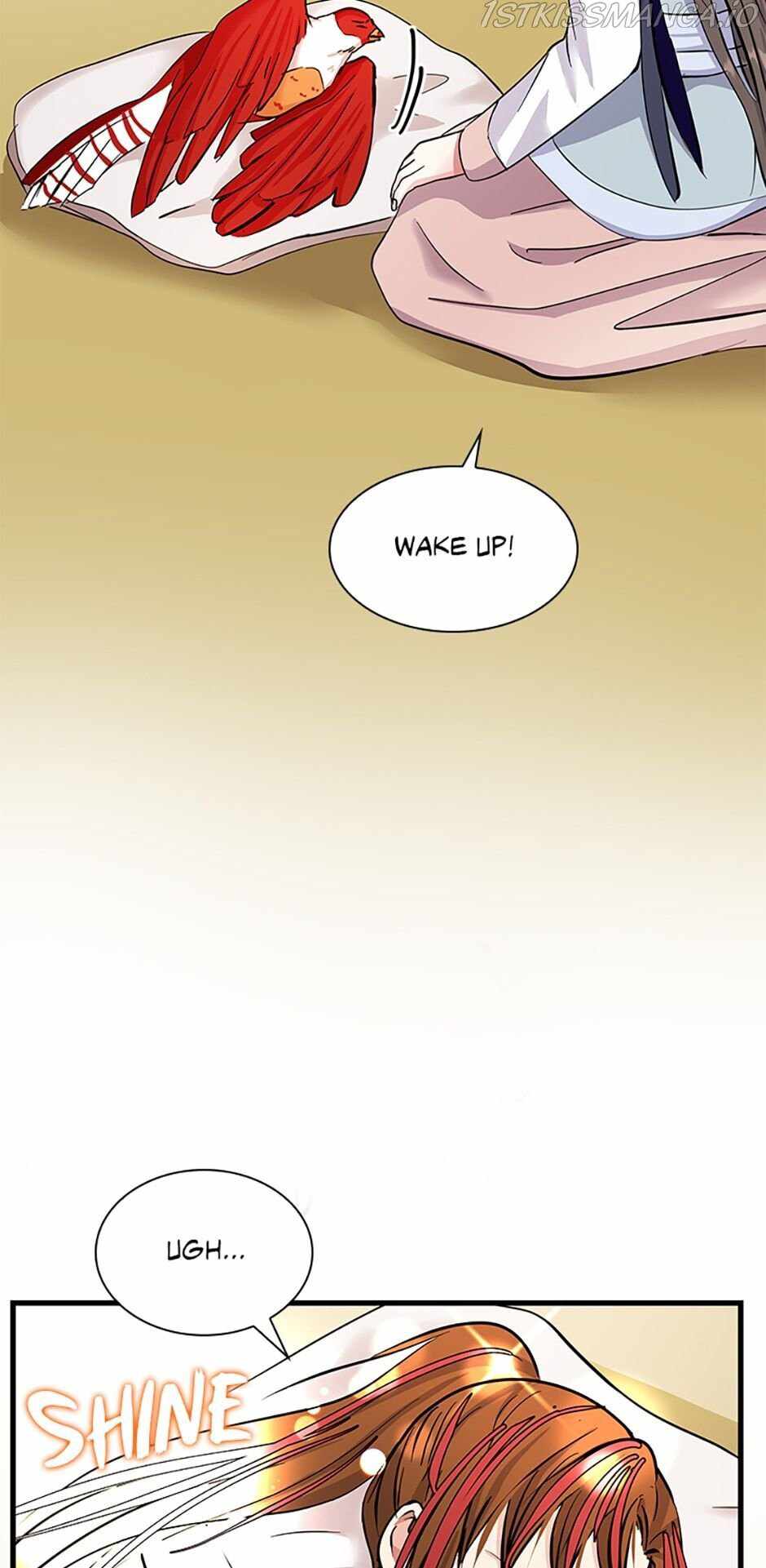 53