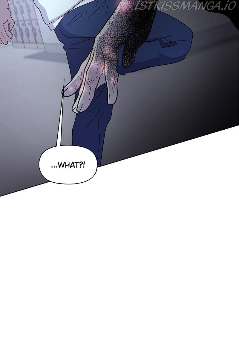 81