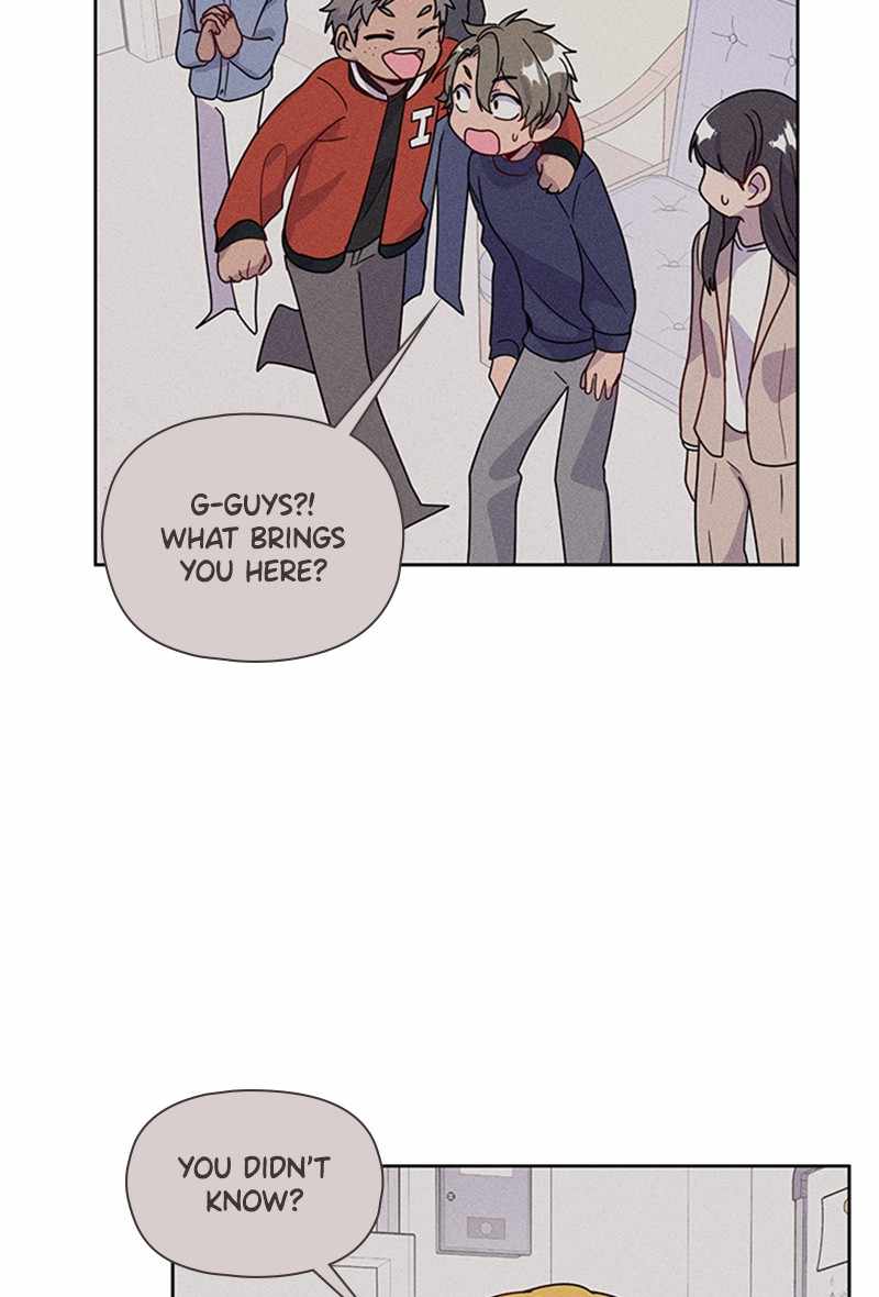 81