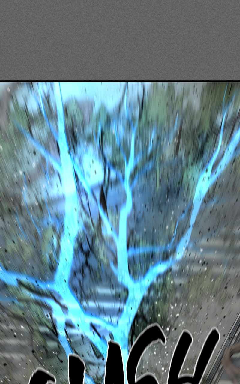 81