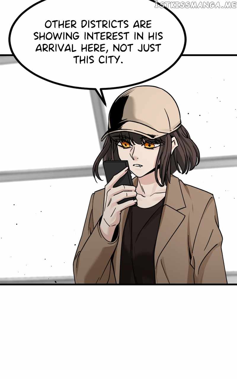 81