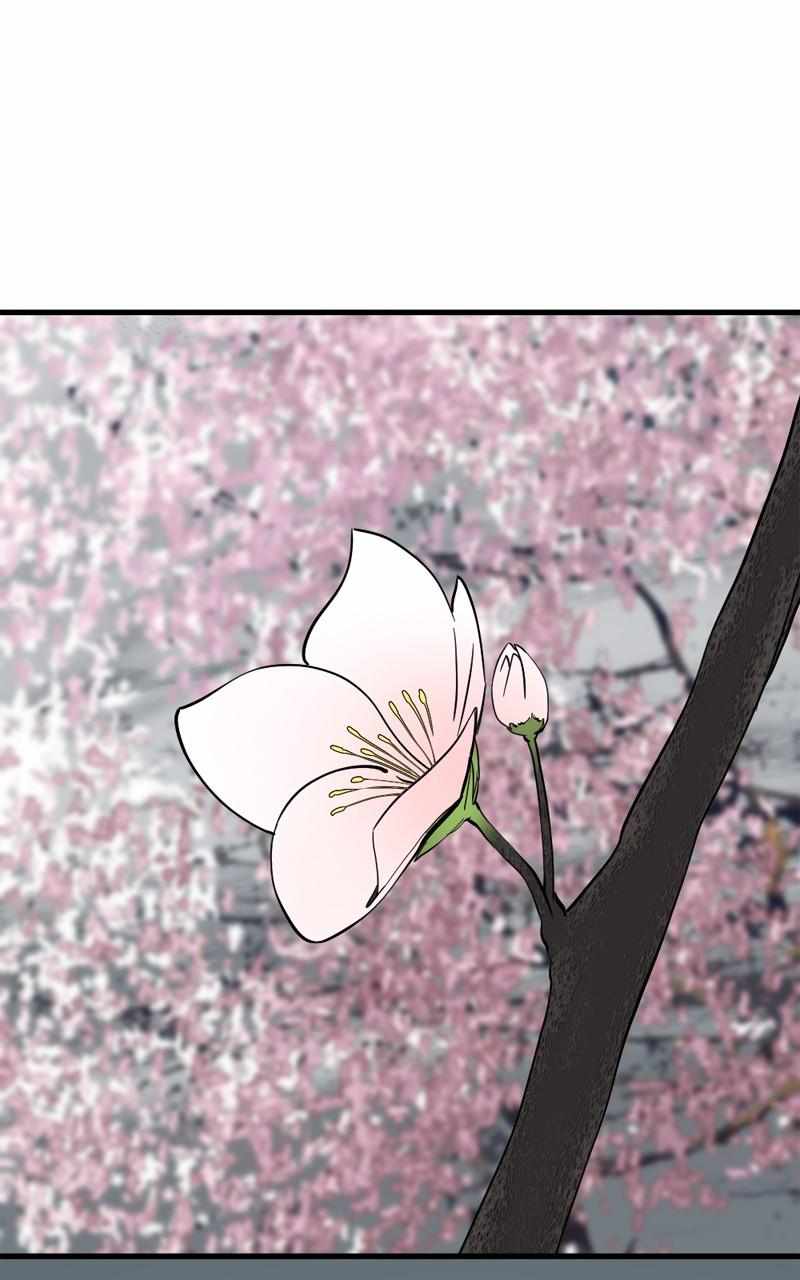 81