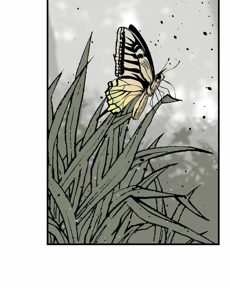 116