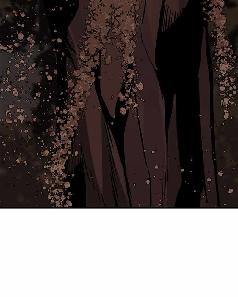 146