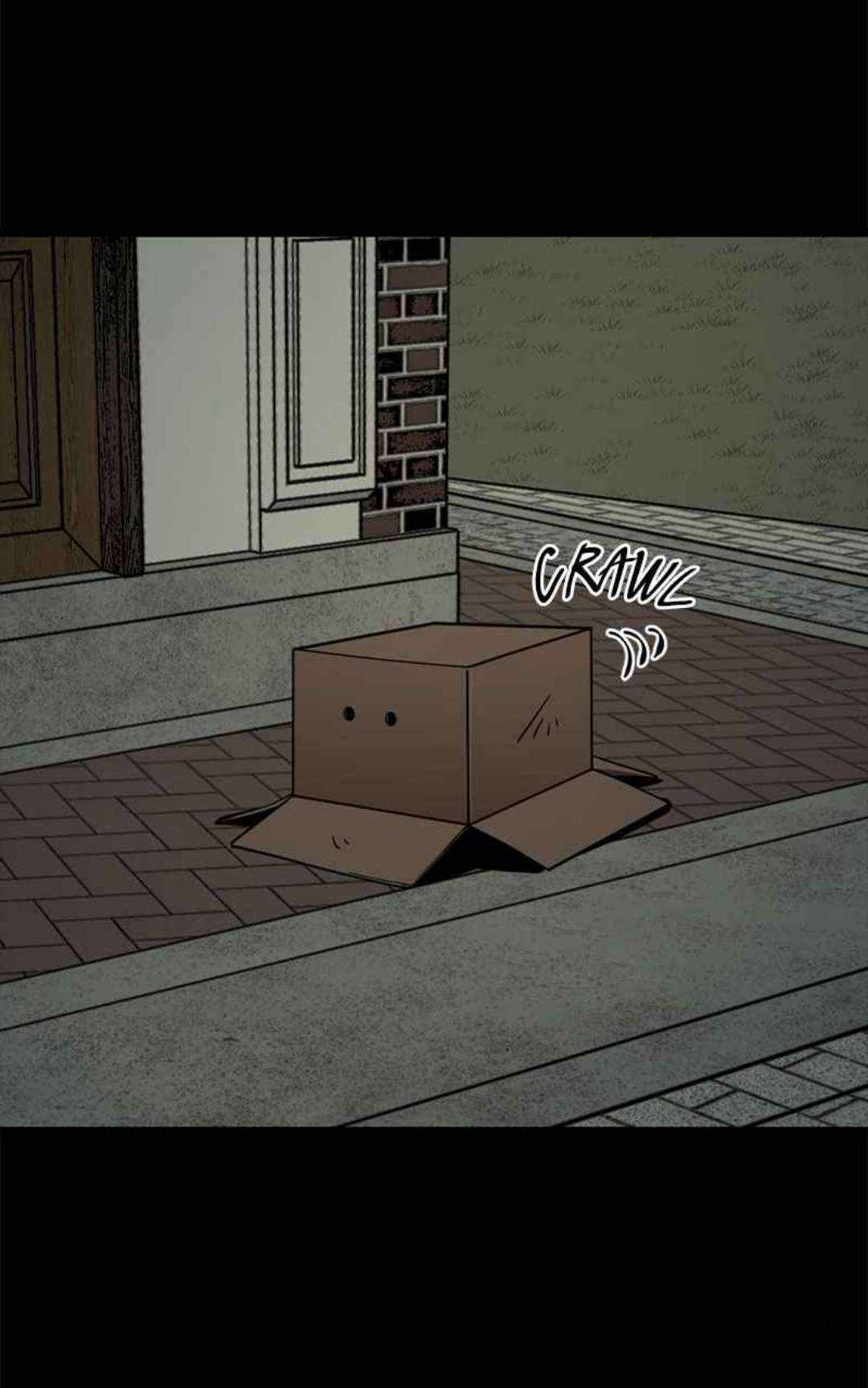 81