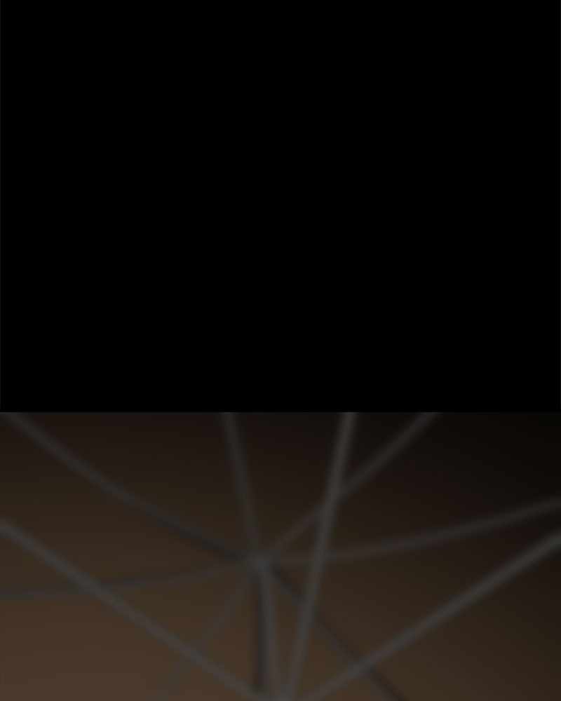 161
