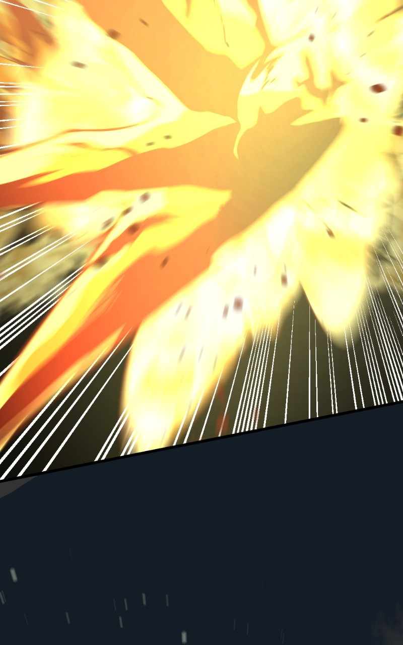 81