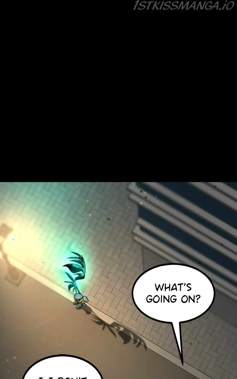 116