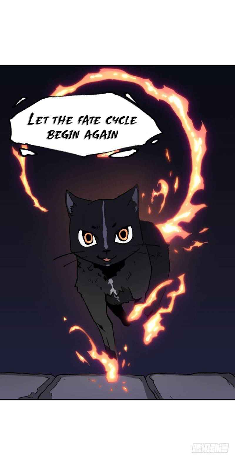 41