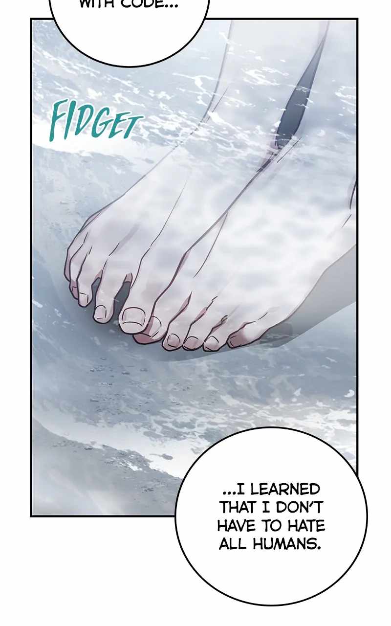 81