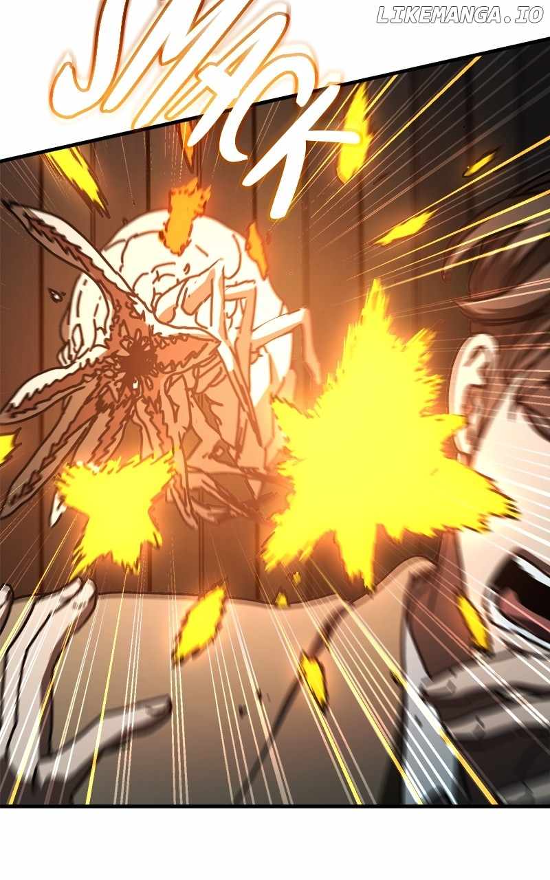 81