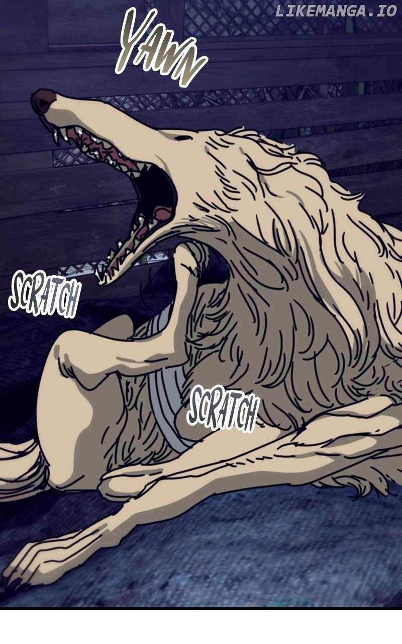 41