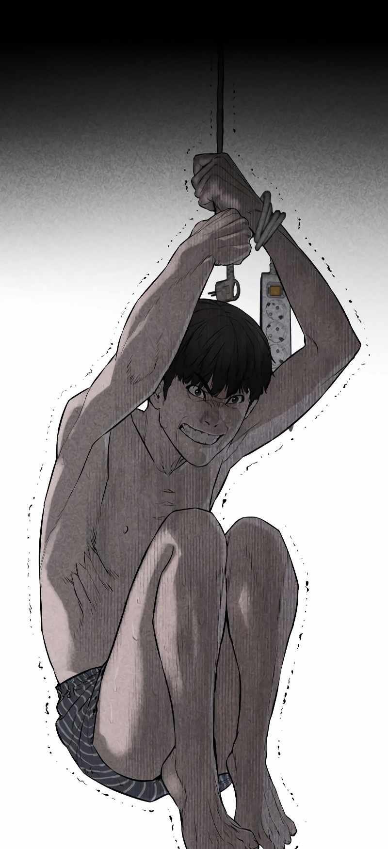 43