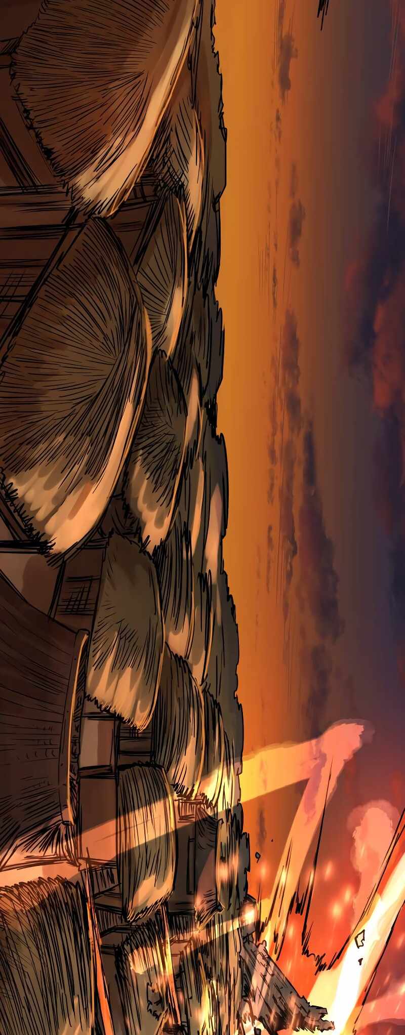 81