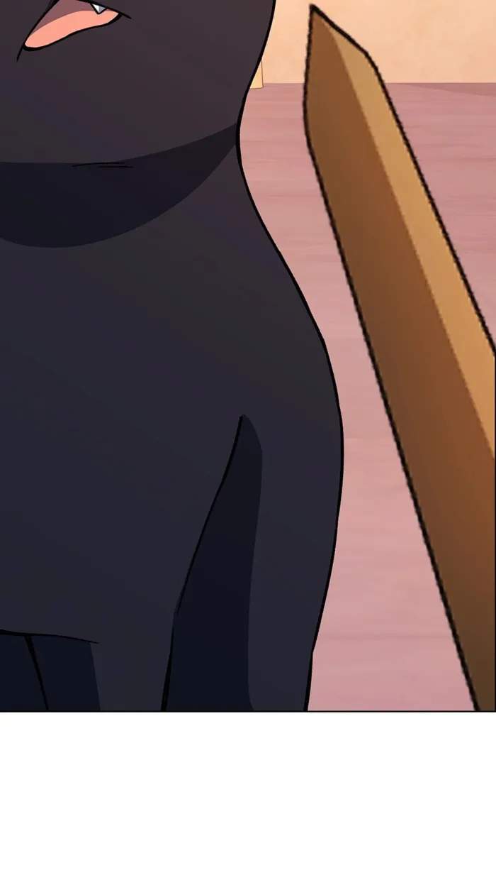 81