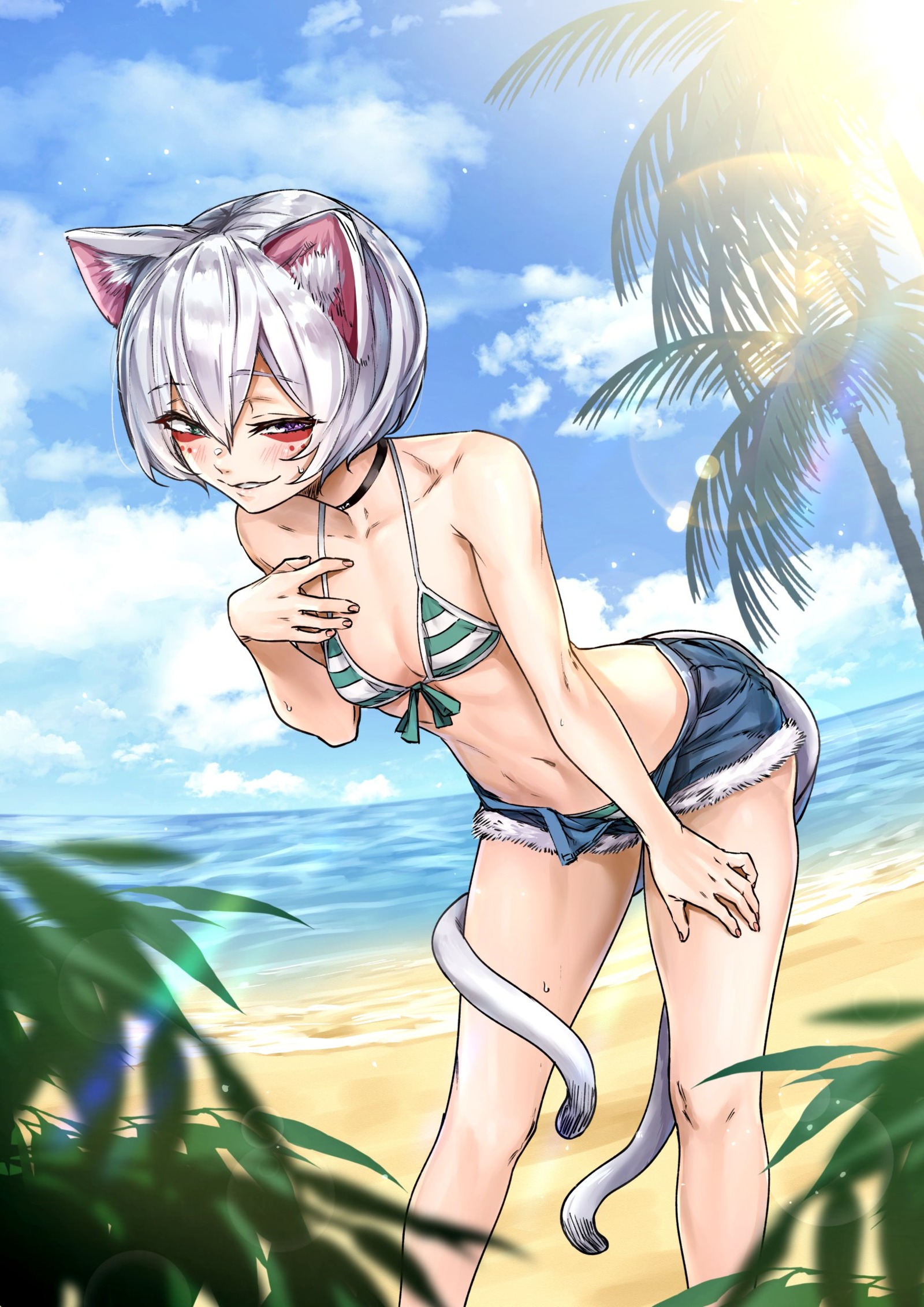 6