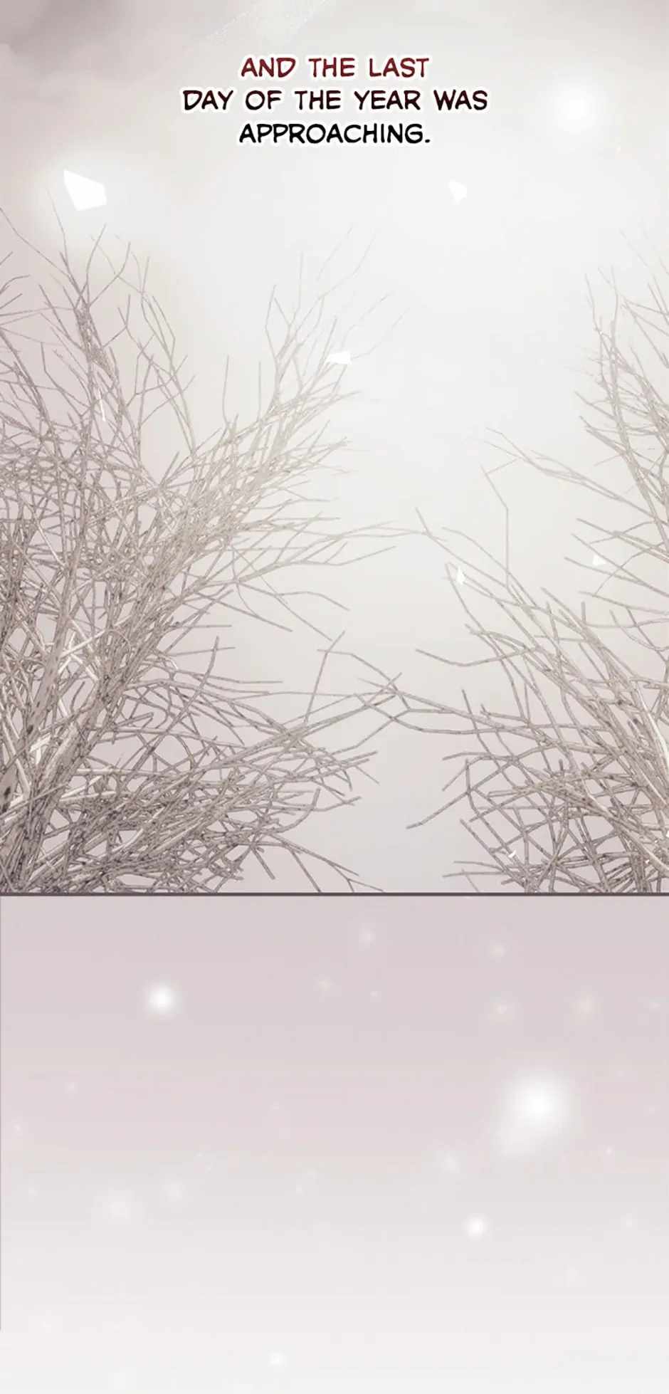 81
