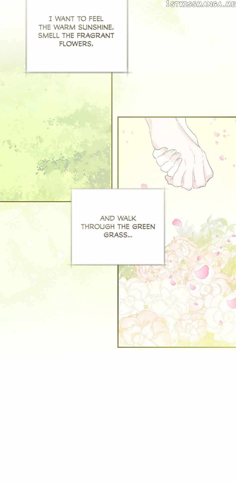 61