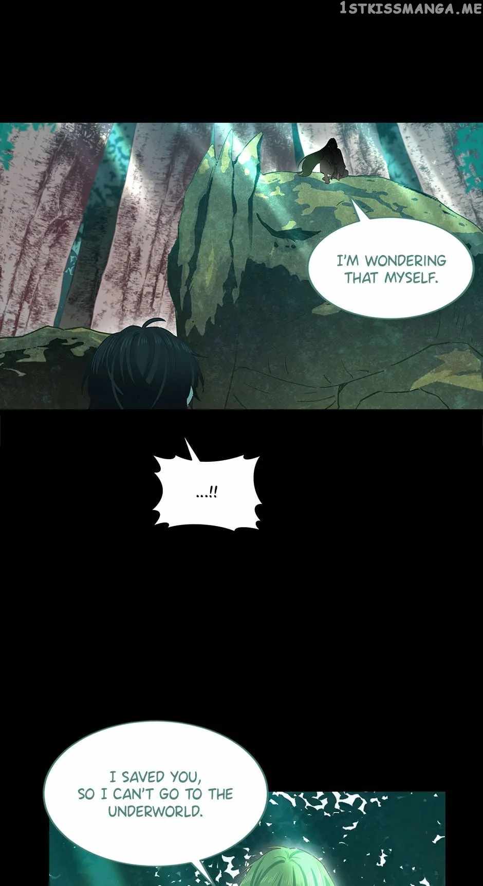 41