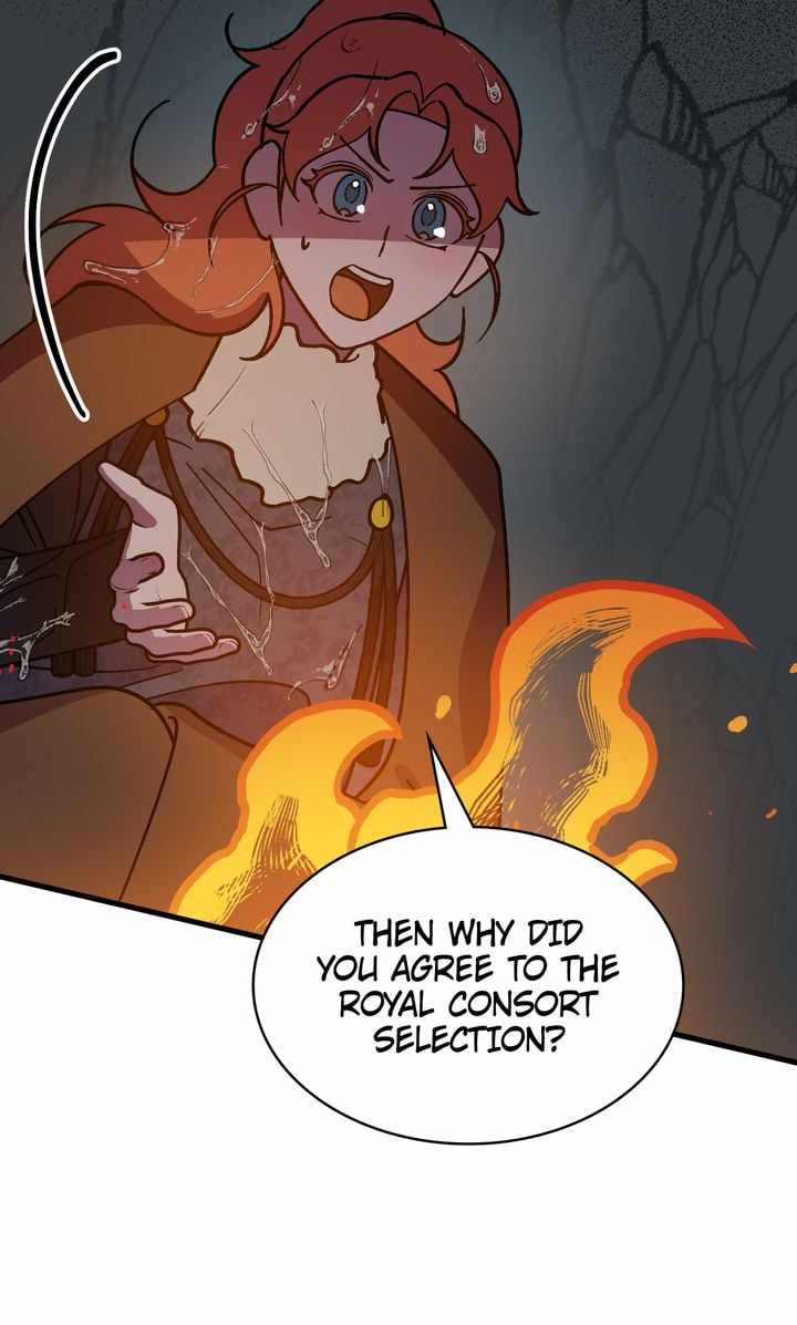 61