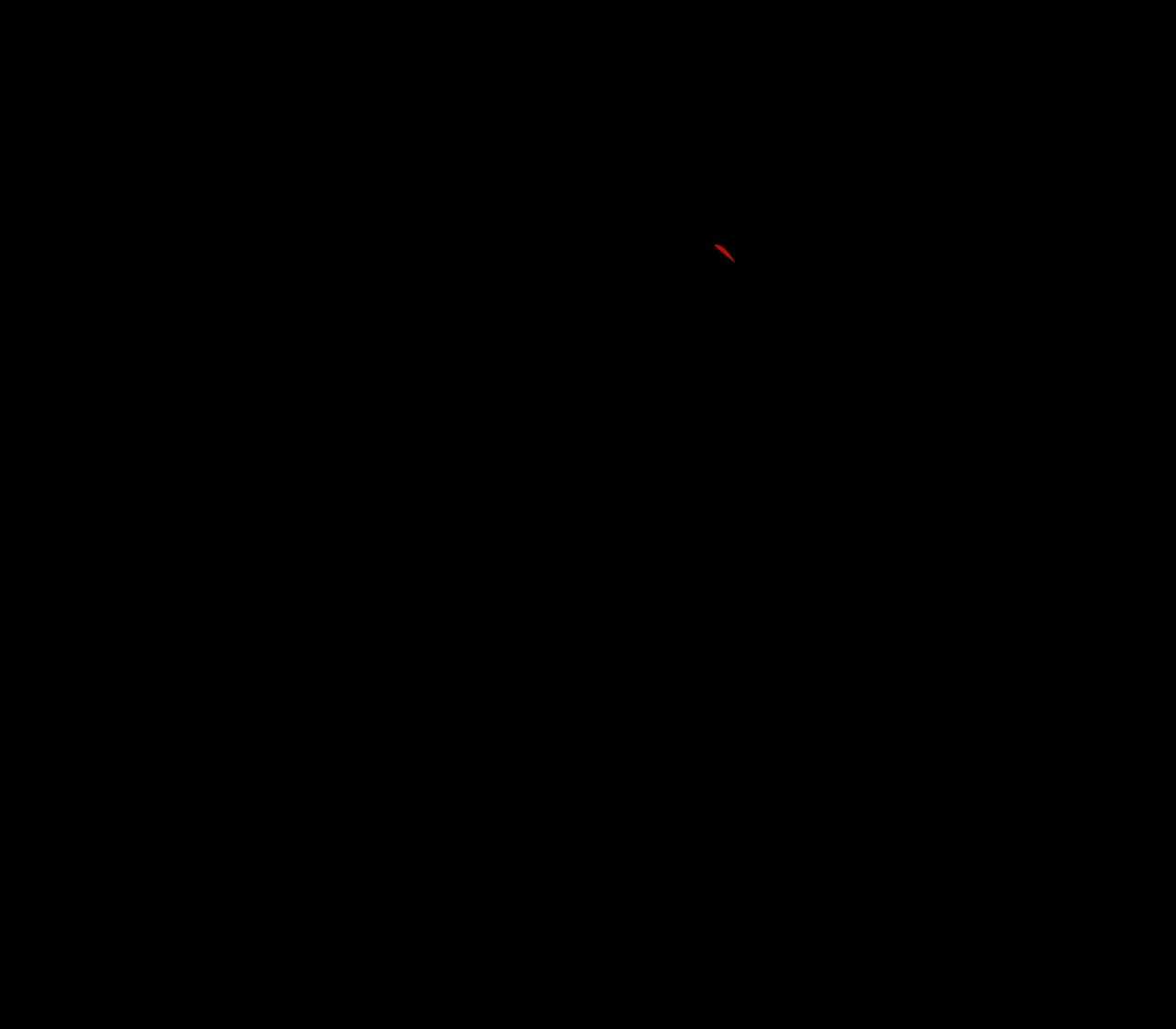 65