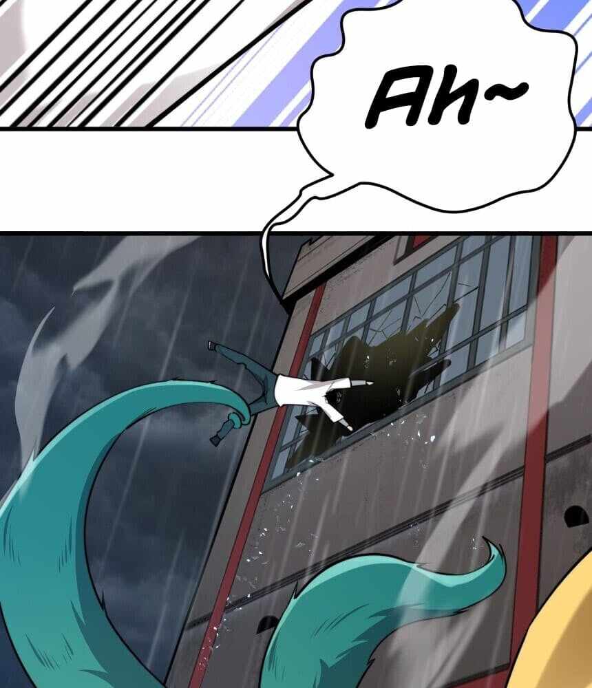 81