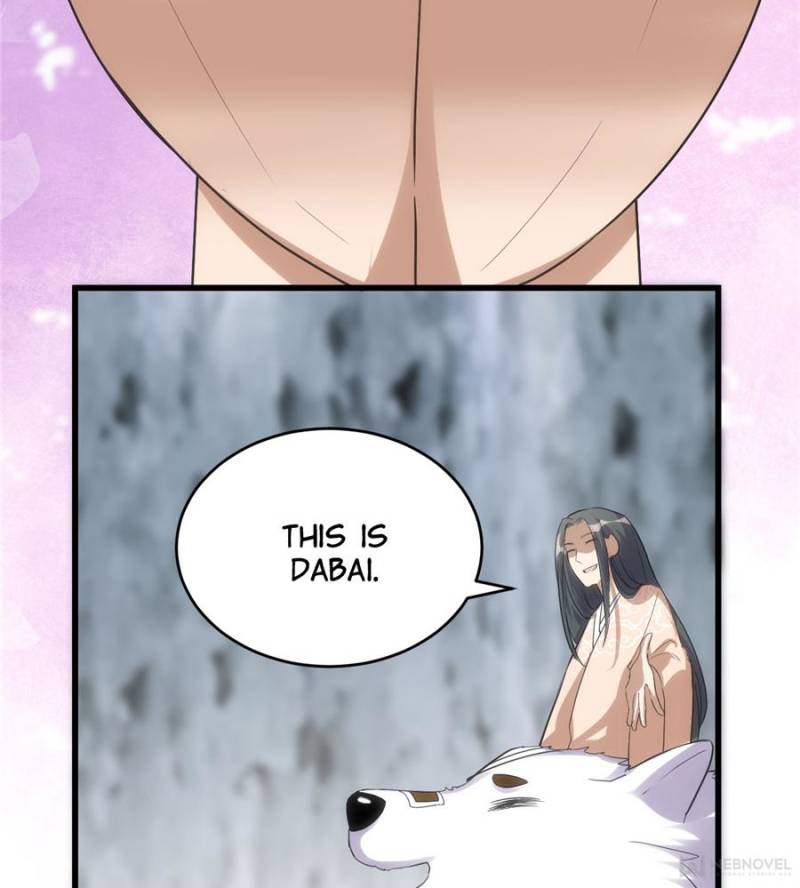 41
