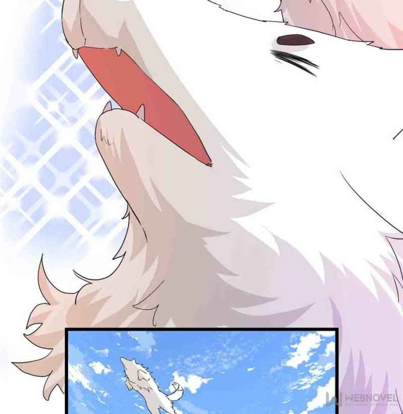 48
