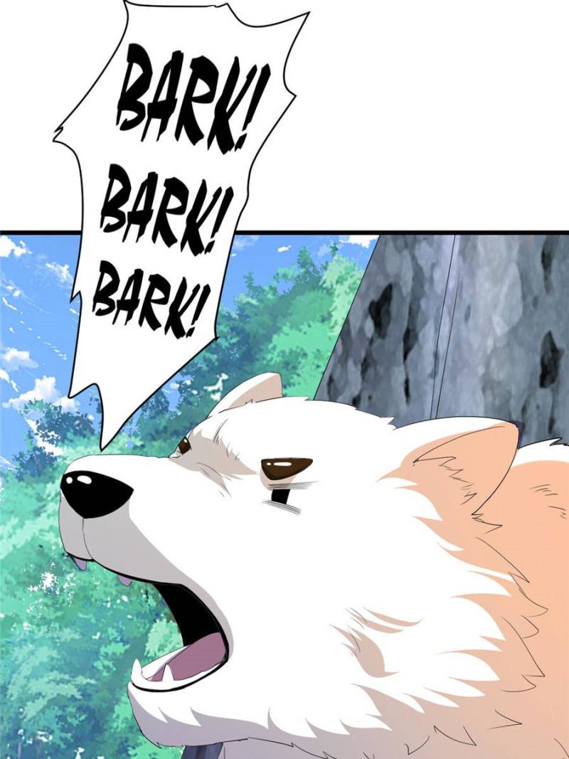 61