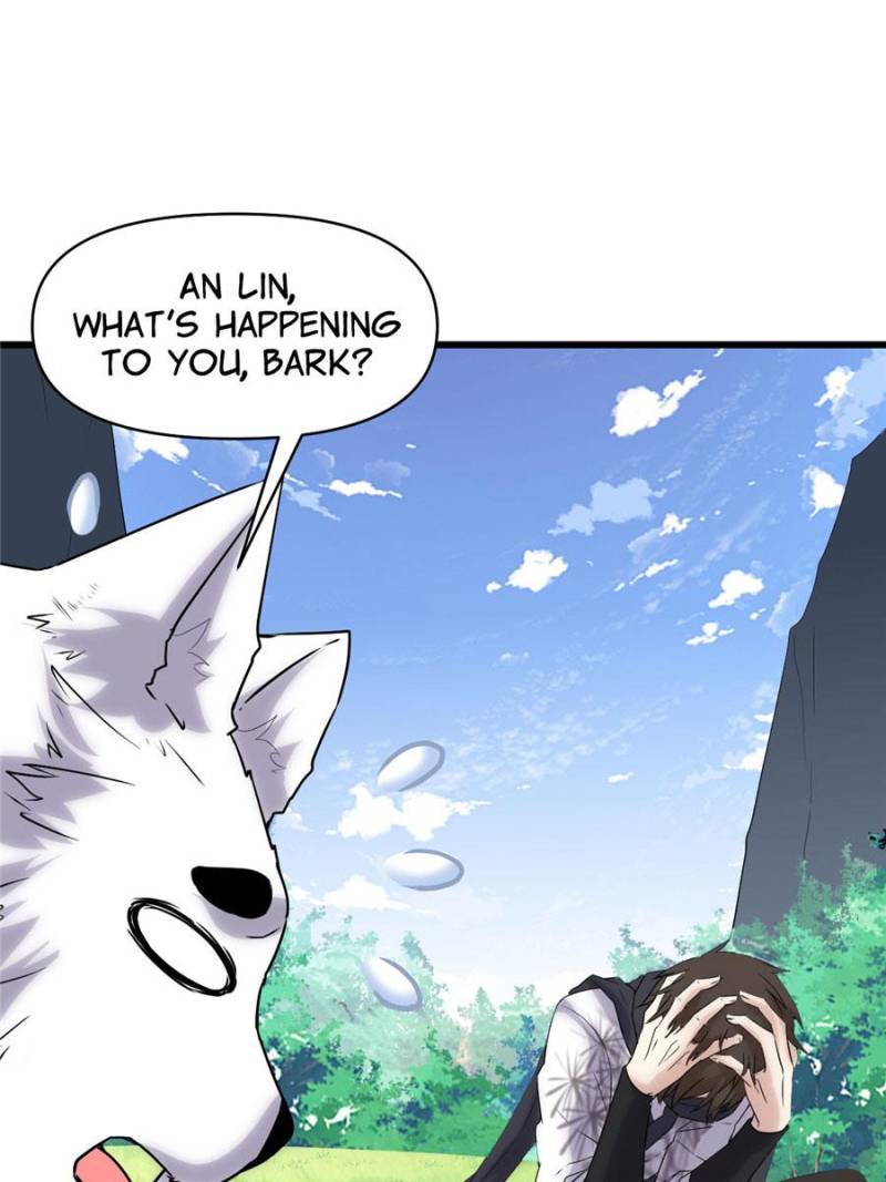 51
