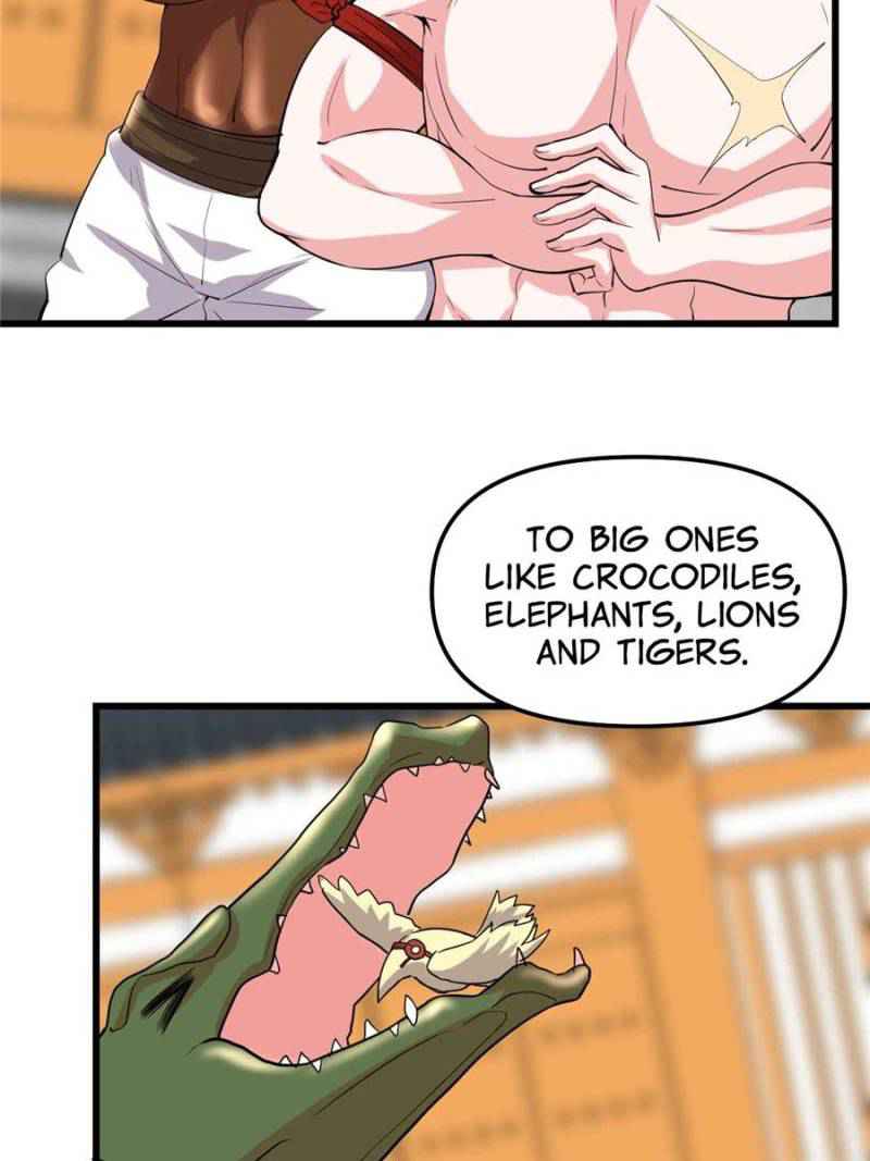 43