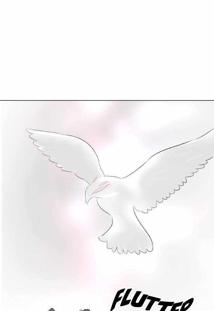 81