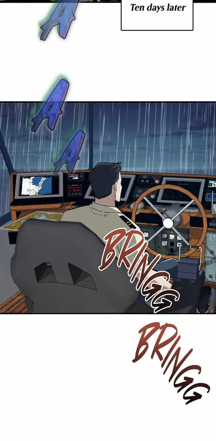 66
