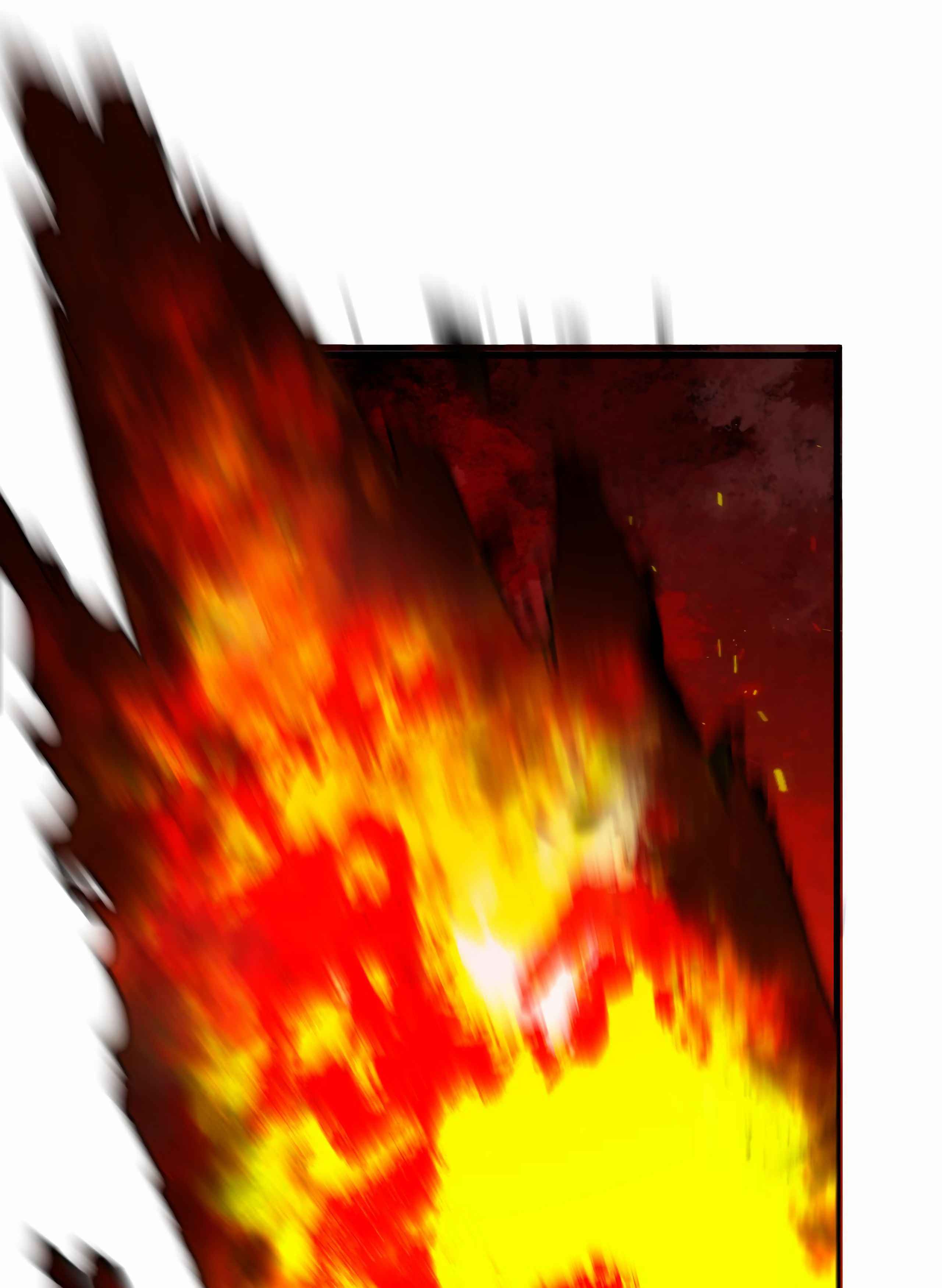 81