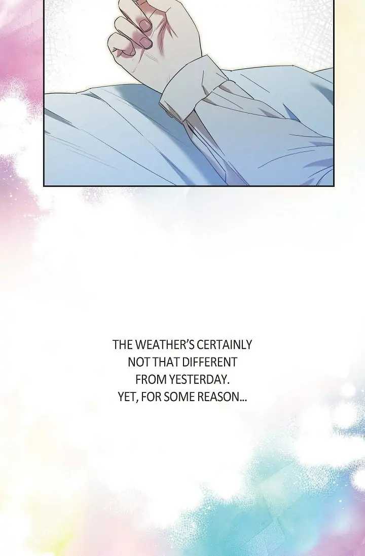 81