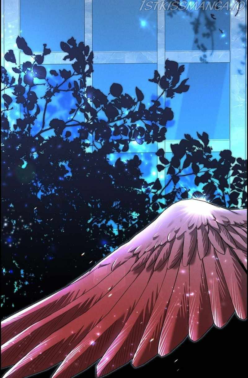 68